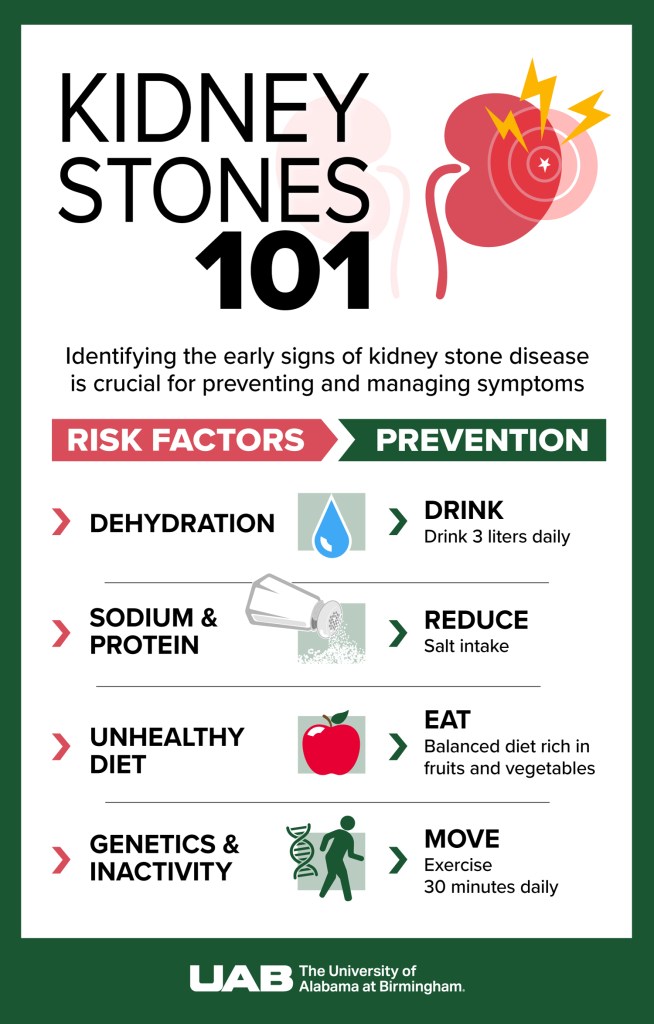 Kidney Stone Graphic